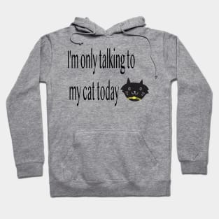 I'm only talking to my cat today, Funny artist Hoodie